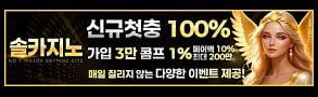 카지노사이트-솔카지노-스포츠토토링크-293x90-0719