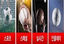 토토사이트-포켓몬 스포츠 스포츠토토링크