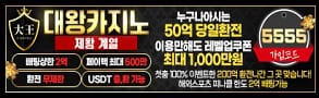 카지노사이트-대왕카지노-스포츠토토링크-293x90